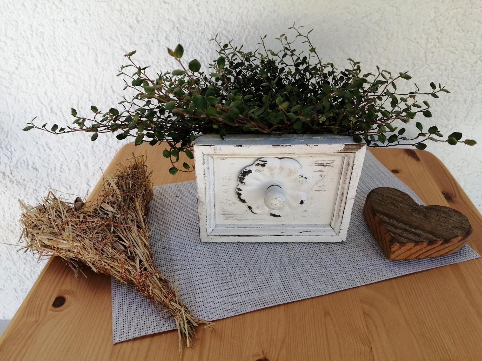 Ferienwohnung Deine Rauszeit Seebach Εξωτερικό φωτογραφία